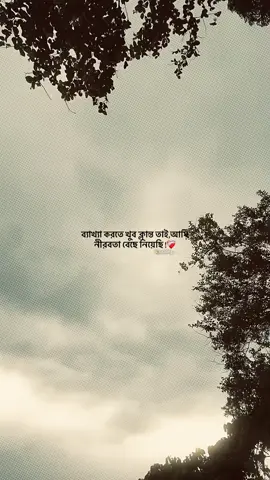 ব্যাখ্যা করতে খুব ক্লান্ত তাই,আমি নীরবতা বেছে নিয়েছি !❤️‍🩹🙂#foryou #foryoupage #emotional #fypシ #sad #sad_loading_01 #unfreezemyacount @TikTok Bangladesh @TikTok 