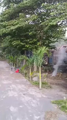 detik2 terjadi meletusnya gunung Lewotobi Selasa, 17-06-2025 #reelsviralシ #fypシ゚ #viraltiktok #nttpride🏝🔥fypシviral #lewotobilakilaki 