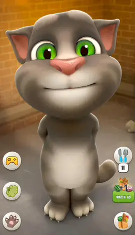 Talking Tom Cat Dance #talkingtom #talkingginger #talkingtomandfriends #cocomelon #pinkfong #cartoon #fun #funny #viral 
