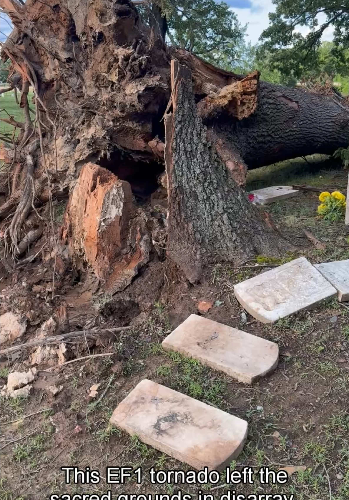 The recent tornado inflicted significant damage on Rose Lawn Cemetery in Vian, OK, a historically Black cemetery holding generations of our ancestors' stories. We're especially saddened by the damage to numerous headstones. Now, more than ever, we need to come together to honor their legacy with many there being veterans who have served our county. Please consider volunteering your time for cleanup, or donating to help them respectfully restore this historically important African American site. For more information on how you can help email: roselawncemetery@yahoo.com. Please like, comment and share. Let's heal our history, together. #PreserveHistory #BlackCommunity #TornadoDamage #VolunteerOpportunity #GiveBack