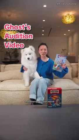 #MilkBonePartner Ghost’s big audition for his own comic + movie: channeling Krypto from the new Superman movie! 🐶🦸‍♂️ Catch Superman in theaters starting July 11th! @Milk-Bone #MoreDog #Superman 