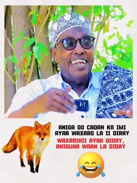 Xildhibaan Shaadh 😂 #Mnsr #Somalilandtiktok #Somalilandtiktok #Hargeisa #onemillionaudition #CapCut 