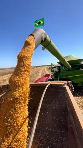 🇧🇷🇧🇷🇧🇷🇧🇷🇧🇷🇧🇷🇧🇷🇧🇷🇧🇷🇧🇷#agro #johndeere #colheita #milho #ParaVocê #videododia #AgroÉTop #AgroÉTudo #Colheita2025 #Colheitadeira #VidaNoCampo #OrgulhoDoAgro #AgroBrasil #MáquinasAgrícolas #Tratorzada #PotênciaNoCampo #AgroTech #AgroRaiz 