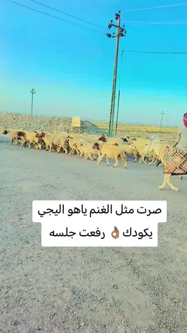 #الشعب_الصيني_ماله_حل😂😂 #الشعب_الصيني_ماله_حل😂😂 #جيش #حسحس 