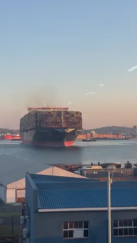 MSC Rifaya one of the largest container vessel to dock in Durban with +15000 TEU , 🫶🏼