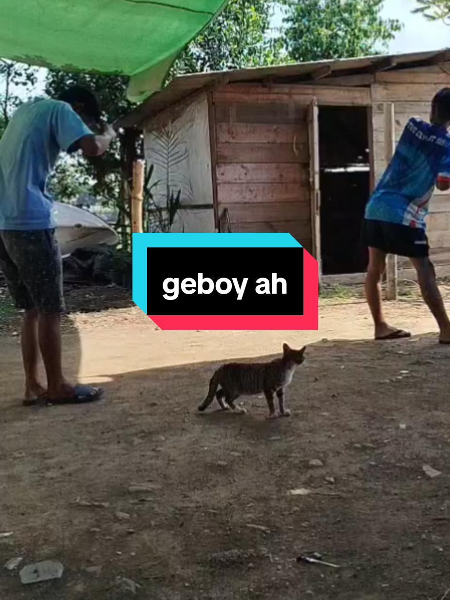 hiburan dulu 🤣🤣🤣#musica #dangdut 