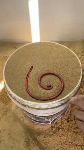 ‏Satisfying and Relaxing Metal Sand  #reelsvideoシ #satisfying #artwork #art #experiment