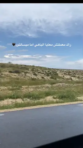 #الكافية❤ #مشالله🧿❤️ #إيطاليا🇮🇹 #الشعب_الصيني_ماله_حل😂😂 