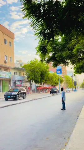 Dal Xureeye #hassansheikh #dalxureeye #hassansheikhmohamud #somalitiktok #foryoupage #mogafyp #somali #mogadishu #hargeisa #somalilandtiktok💚🤍❤