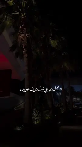 #راشد_الماجد#انت_لي #fyp 