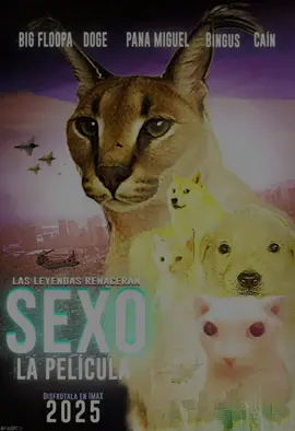 Ya casi estamos de Estreno 🙏😼#lapelicula #randomthings #dea #estreno #gato #perros #fyp #xd 