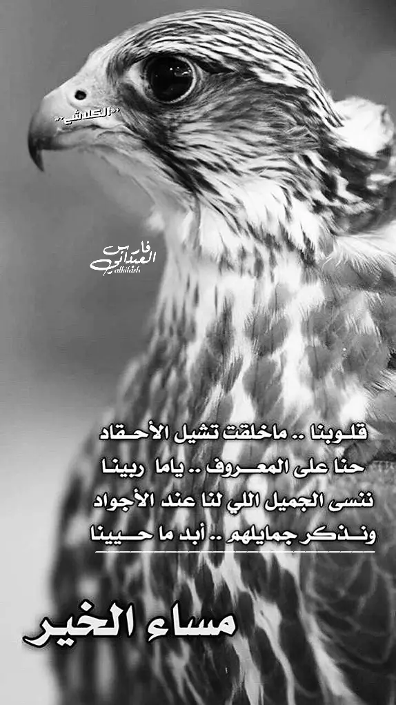 #مساء_الخير #ترند #شعر #الكلاش #فارس_العبداني #اكسبلورexplore #fypシ #viral #✌🏼 #🔥 