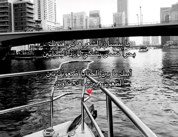 #4u #fyp #foryou #explore #like #بحر #بيلسان #Love 
