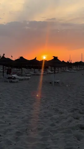 #djerba #tunisia #2025 #sommer #welcome #djerbaladouce🌴🌴🌴☀️☀️☀️🌴🌞🏊 #mer #😍😍😍 #tunisia🇹🇳 #djerba🇹🇳🇹🇳🇹🇳 #❤️ #💯💯💯 #🥰 #🌞 #❤️ 