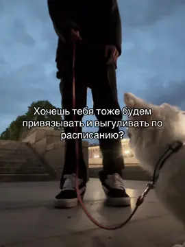 тгк: мизомания #мизомания 