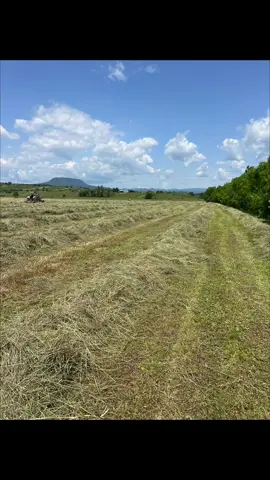 #foryouu #fyp #romania🇷🇴 #agriculture #farmlife #mercedesbenz #caseih 