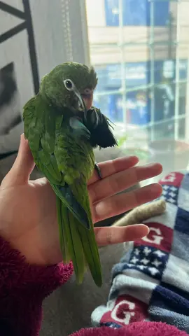 ❤️ 🥹