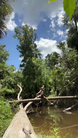 reconnecting 