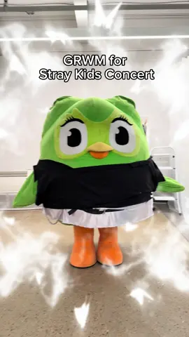 y'all think they'll notice me? #StrayKids #스트레이키즈 #duolingo 