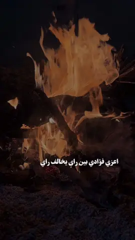#شعر #شيلات #تصويري #كشتات #طلعات_البر #قصيد 