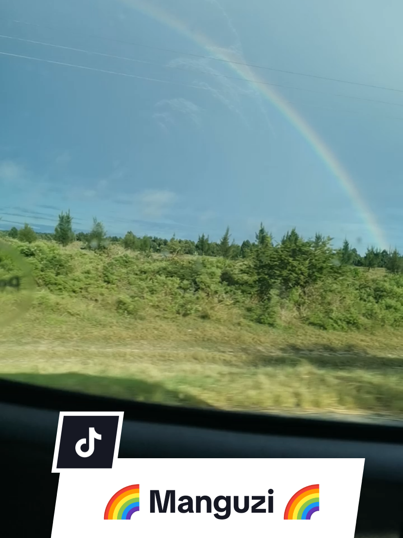 This was one of the most fun and interesting trips of my year so far. . . 🌈 #fyp #travel #traveltiktok #kzn #kwazulunatal #southafrica #africa #agriculture #farmlife #fruit #banana #nature #rainbow #bthemost 