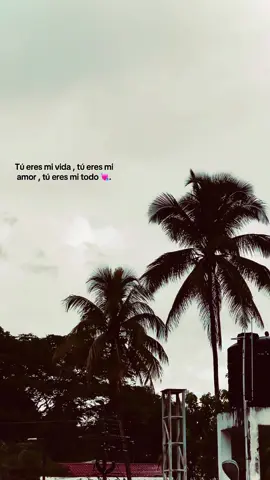 #frasesparadedicar #frasesedits #fyp #etiqueta #fyp #fortupage 