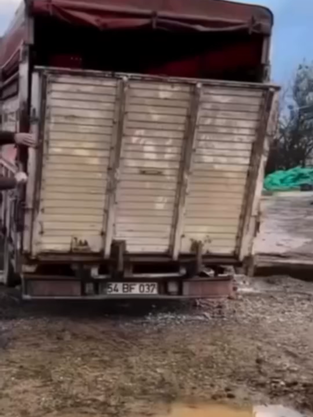 OHHHHH NOOOOO! 😭😭🤣 #funnyvideo #cowfalling #failvideo #workmemes #saleshumor #officefun #rolando #relatablecontent #viralvideo #tiktoktrend #cowmoment #funnytransition #videomeme #worklaughs #containerlife #usacontainers #containerbiz #saleslife #salesrep #funnyreels #cowtumble #teamfun #cowfails #transitionvideo #memeoftheday #cowtok #laughoutloud #funnycompany #corporatelol #cowcrash