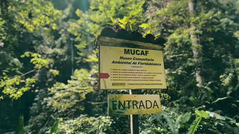 “LA VERDAD AMBIENTAL QUE NO TE CUENTAN” El cambio climático no es teoría, es la realidad que se presenta día tras día… Créditos:@𝐏𝐚𝐮𝐥𝐚 𝐂𝐚𝐬𝐭𝐢𝐥𝐥𝐨  #cambioclimatico🌏🌏🌏 #ambiental #naturaleza #documental #noalacontaminacion🌱🌏 #montefiore 