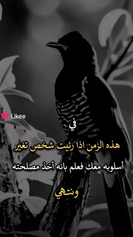 نعم أكثر الناس صارت مصلحجيه اللهم أبعد عنا صاحب الوجهين والمصلحجيه
