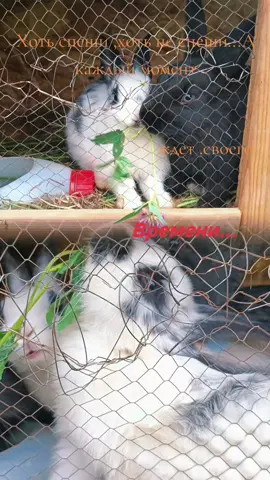 #момент