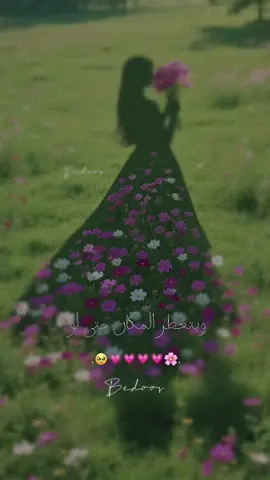 #CapCut  #سعيدة 🩵🌸.