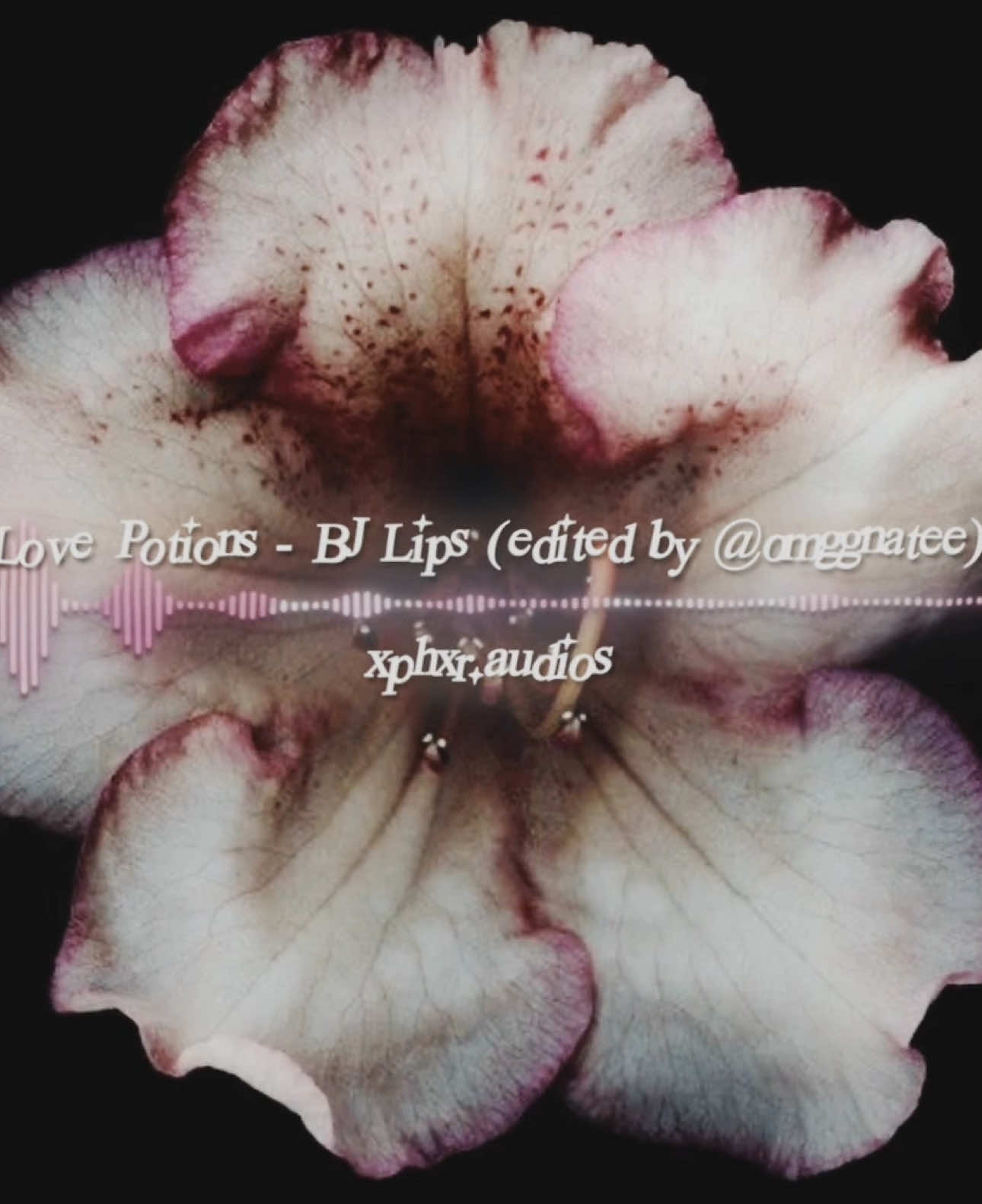 First post on here!! Please give credit <3 |  audio credit: @Natte  cc: @joooo ツ  #audios #editaudios #hotaudios #audiosforedits #edits #fyp #foryou #ae 