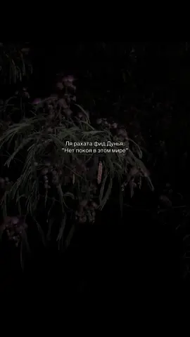 «счастье лишь в раю»