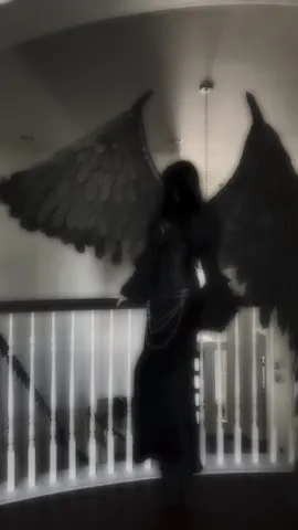 𝕸𝖎𝖘𝖙𝖗𝖊𝖘𝖘 𝖔𝖋 𝖙𝖍𝖊 𝕹𝖎𝖌𝖍𝖙 #fallenangel#wings#goth#gothicfashion#gothangel#fyp