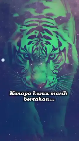 Jangan remehkan orang yang diam... Karena dalam diamnya, tersimpan kekuatan dan luka yang tidak semua orang tahu. Macan putih tak butuh panggung, dia hanya butuh momen untuk menunjukkan taring #MotivasiHidup #MacanPutih #KekuatanDiam #BangkitTanpaBalas #QuotesHarian #FYP #TegarDalamDiam #KataBijak #SemangatHidup #MotivasiDiri #FYPIndonesia #KekuatanBatin