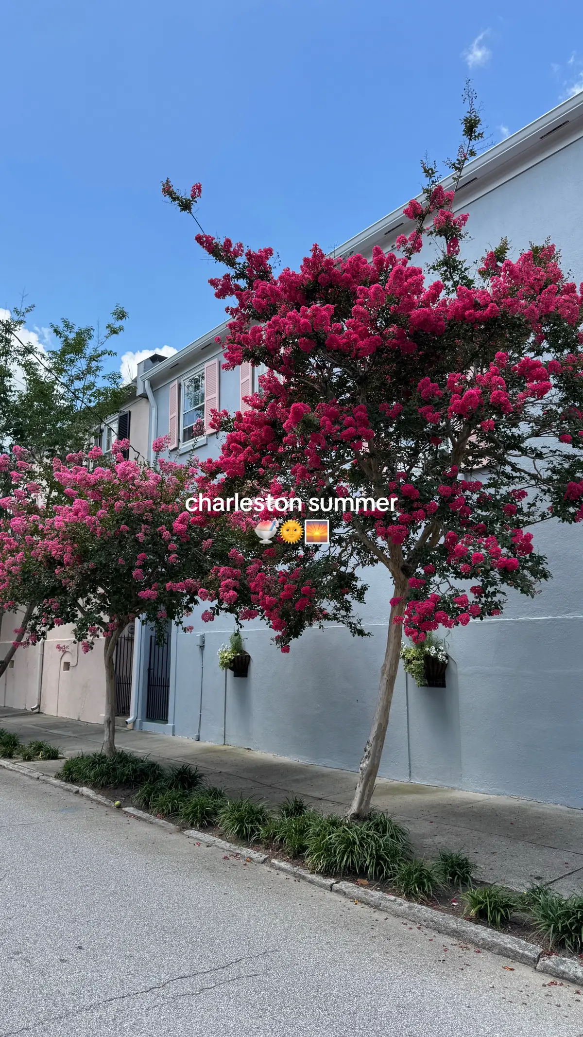 charleston summers are the best 💕 #charleston #girly 