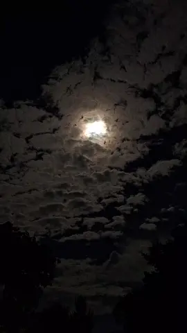 #paz #fyp #nubes #cielosbonitos #tranquilidad #luna 