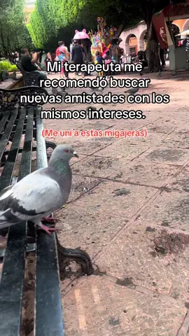 Somos 3 🕊️.  #fyp #foryoupage #paratii #migajasdeamor #migajeros #fypシ゚ 