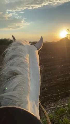 ☀️ #vaquero #paratii #fyp #rancho #caballos #joansebastian 