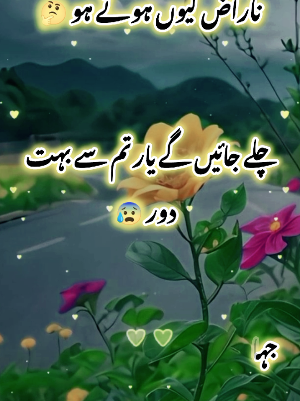 ناراض کیوں ہوتے ہو #fyp #unfreezemyaccount #foryoupage #urdupoetry 