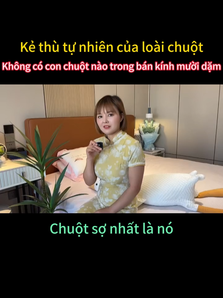 Chiếc máy này giúp chuột tránh xa bạn trong phạm vi 10 dặm-635792