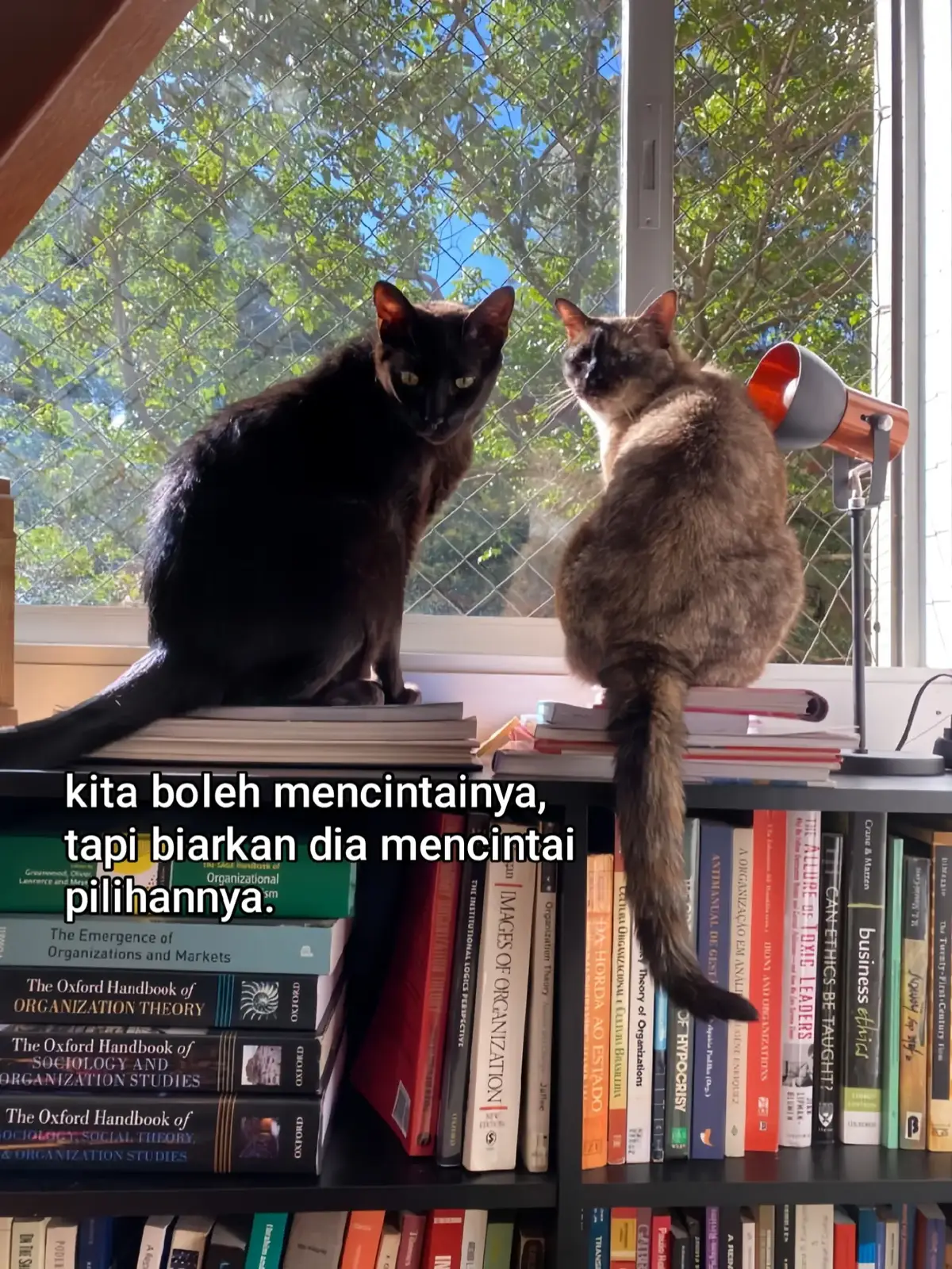 #katakata #sadvibes #fyp 