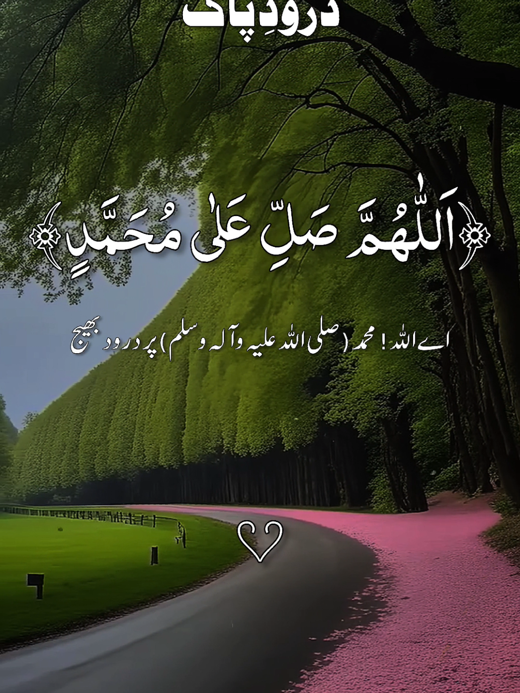 #درودِ_پاک_کثرت_سے_پڑھیں #darood_e_pak #islamicreminder #quranrecitation #quran_kareem #longervideos #foryou #quran #quranicquotes 