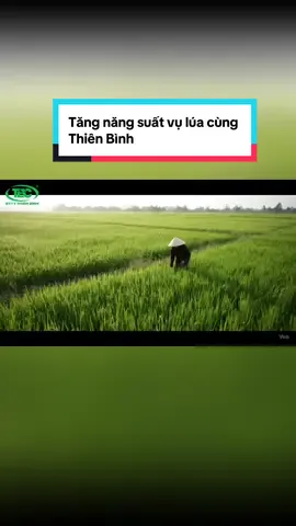 Bà con đang cần giải pháp cho vụ lúa của mình. Và đây là giải pháp #TBC #bvtvthiênbình #nongnghiep #lua #xuhuong #hieuquavuottroi 
