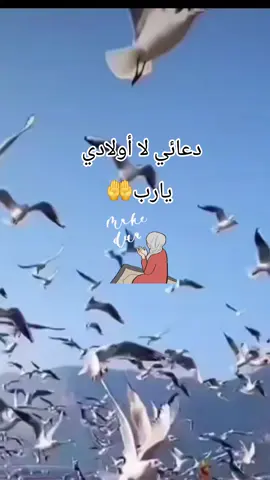 #دعائي من قلبي لا اولادي يارب يسر أمرهم و احمهم من غدر الزمن ونور دربهم و كون معهم في كل شي ياالله🕊🤲🦋🙏⚘️🫀