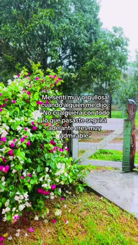 🌸#contenido #frasestiktok #nuncaterindas #reliencia 