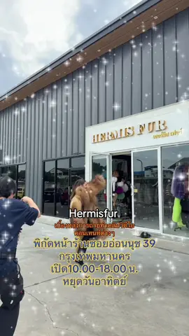 #หนาวนี้คิดถึงเฟอร์คิดถึงเฮอร์มิสนะคะ #เสื้อเฟอร์หรู #luxuryfur #furcoatthailand #premiumfur #furstyle #แฟชั่นเฟอร์แท้ #hermisfur #hermes
