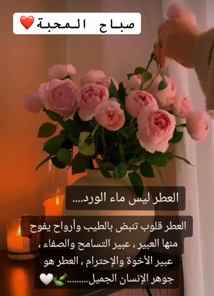 #صباح_الخير #صباحكم_أحلى_صباح #صباحكم_معطر_بذكر_الله #طابت_اوقاتكم_بكل_خير💕🌼 #صلوا_على_رسول_الله #bonjour 