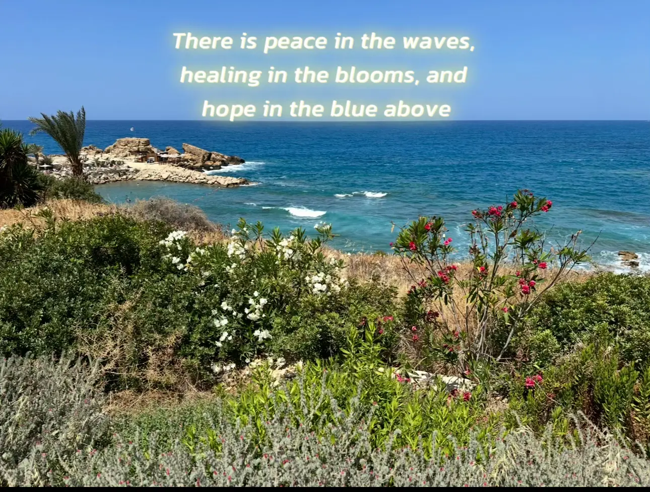 Just a reminder that healing is possible. Take a moment to breathe, to feel, to just be 🌸🌊☀️ Mental health matters, and so do YOU 💙 #HealingJourney #NatureHeals #MentalHealthMatters #PeaceWithin #MorningVibes #TikTokWellness