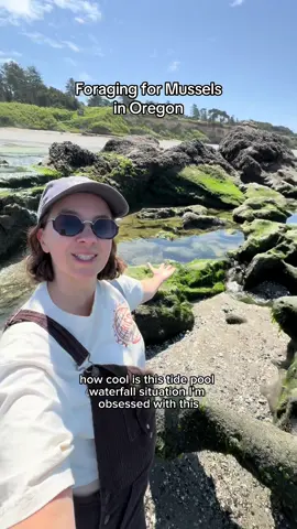 Forage for mussels with me! This is a how-to guide so you can forage for your of delicious seafood along the Oregon coast. Mussels are awesome and you need a shellfish license to take them. Get one via ODFW.gov.  #mussels #seafood #oregon #traveloregon #oregoncoast